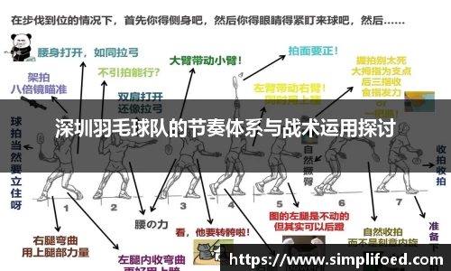 深圳羽毛球队的节奏体系与战术运用探讨